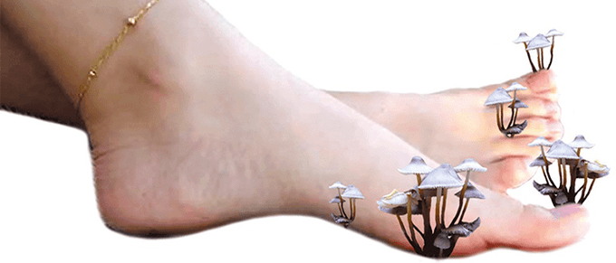 габа на нозете