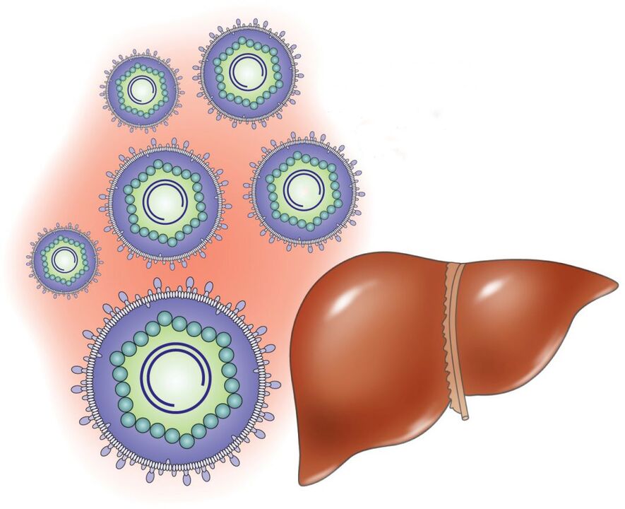 како функционираат системските лекови внатрешно